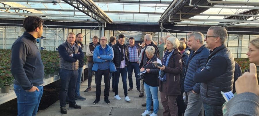 Foto: BVZ David Velmans präsentiert dem BVZ die aktuellen Topfpflanzenkulturen im Betrieb Stephan und Andreas Velmans, Kevelaer.