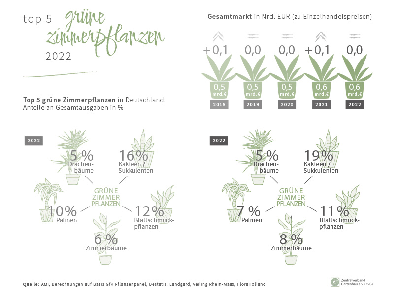 TOP 5 – grüne Zimmerpflanzen 2022